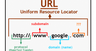 URL là gì? Kiến thức cơ bản và công dụng của URL trong thiết kế web