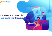 google xu hướng 04