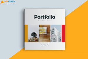 Portfolio là gì? Điều gì tạo nên một portfolio hấp dẫn trong mắt nhà tuyển dụng