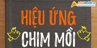 Hiệu ứng chim mồi 02