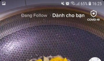 cách quay duet trên TikTok