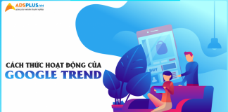 Google Trend (Google xu hướng)