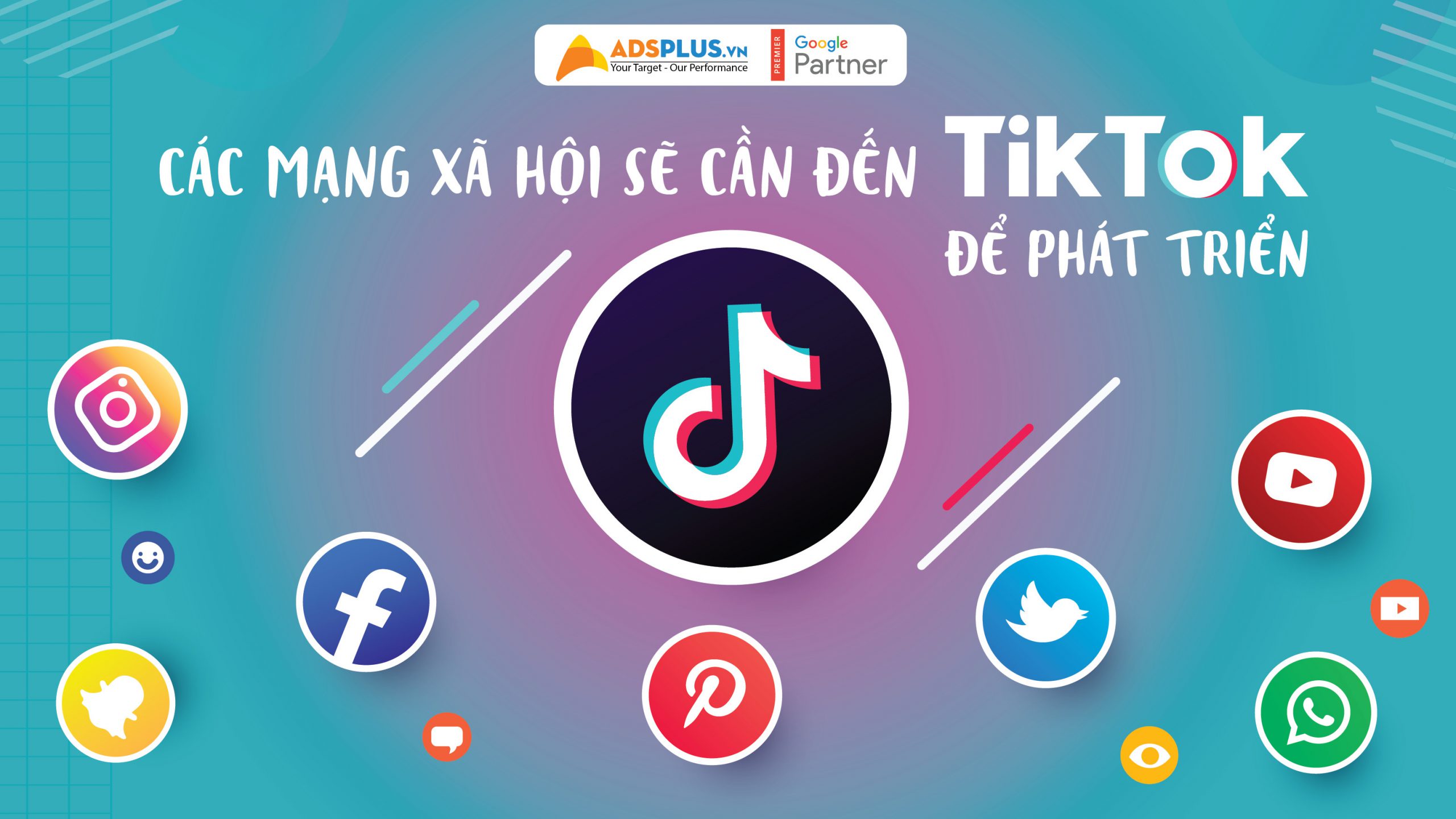 Các mạng xã hội sẽ cần đến TikTok để phát triển