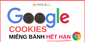 google cookies miếng bánh hết hạn