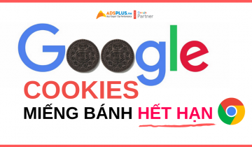 google cookies miếng bánh hết hạn