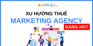 thuê agency
