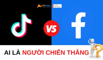 Tiktok insight