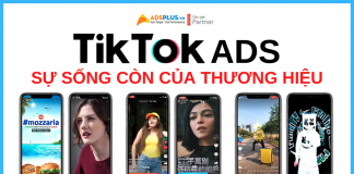 chạy quảng cáo tiktok