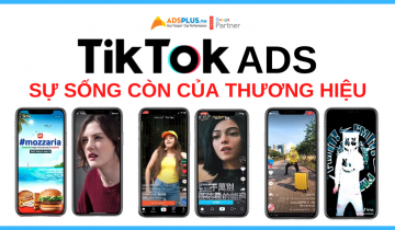chạy quảng cáo tiktok