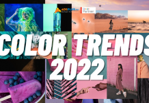 color trends 2022