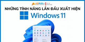 windows 11