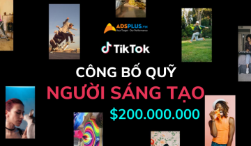 quy tiktok creator