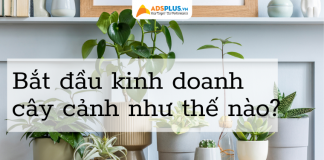 buôn bán cây cảnh