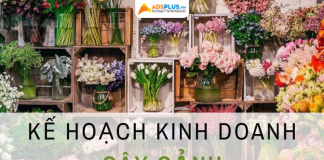 kế hoạch kinh doanh cây cảnh