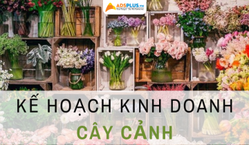 kế hoạch kinh doanh cây cảnh