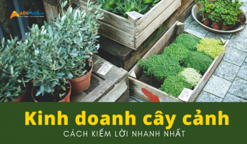 kinh doanh cây cảnh