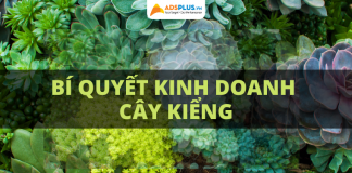 kinh doanh cây kiểng