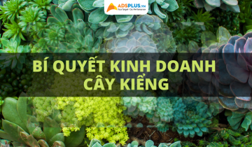 kinh doanh cây kiểng