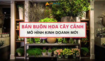 bán buôn hoa cây cảnh