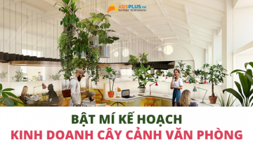 kinh doanh cây cảnh văn phòng