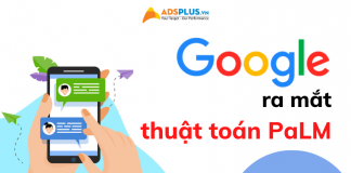 thuật toán palm của google