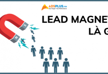 lead magnet là gì