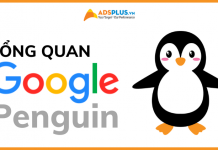 thuật toán google penguin