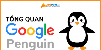 thuật toán google penguin