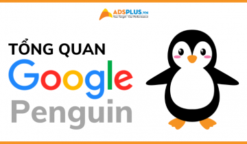 thuật toán google penguin