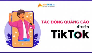 các thống kê tiktok