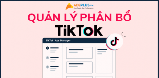 tiktok quản lý phân bổ