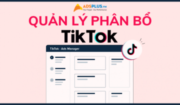 tiktok quản lý phân bổ