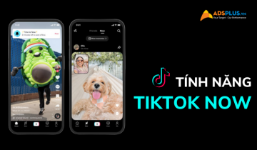 tính năng tiktok now