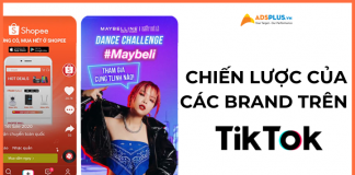 các brand trên tiktok