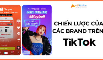 các brand trên tiktok