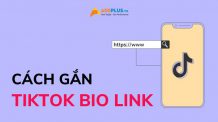 cách gắn tiktok bio link