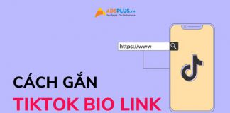 cách gắn tiktok bio link