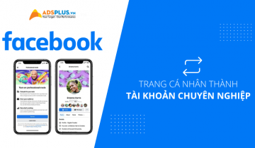 chế độ chuyên nghiệp facebook