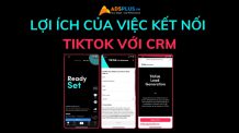 kết nối tiktok với crm