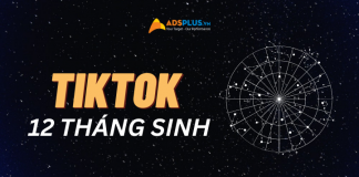 tiktok về 12 tháng sinh