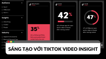tiktok video insight
