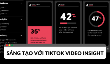 tiktok video insight