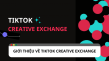 Tạo nội dung chất lượng cho thương hiệu cùng TikTok Creative Exchange