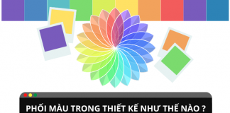 Phối màu trong thiết kế như thế nào trở nên chuyên nghiệp ?