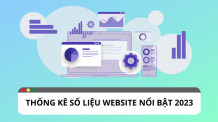 Tổng hợp những số liệu thống kê nổi bật từ website 2023