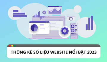 Tổng hợp những số liệu thống kê nổi bật từ website 2023