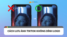 Lưu ảnh TikTok không logo: Cách đơn giản nhất hiện nay