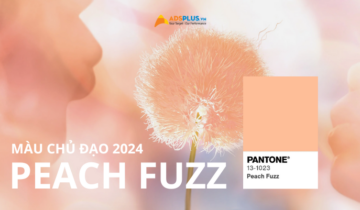 Màu Peach Fuzz 2024: Đại diện cho gắn kết và hiện đại