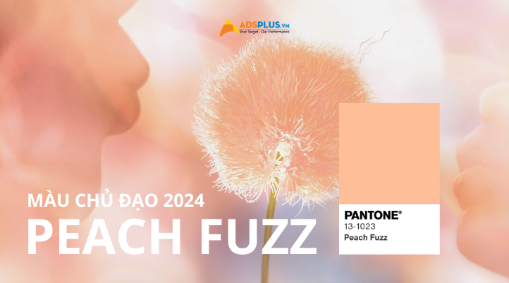 Màu Peach Fuzz 2024: Đại diện cho gắn kết và hiện đại