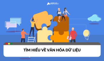 Văn hóa dữ liệu: Định nghĩa và tầm quan trọng